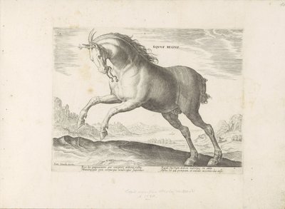 Paard van het ras Royal Horse (de Koninklijke) Den kongelige hest (titel på objekt) Paardenrassen uit de Koninklijke stallen van Don Juan van Austria (serietitel) En hest, hvor alle slags adelige: kendetegnet ved manerer af heste fra forskellige dele af ve af Anonymous