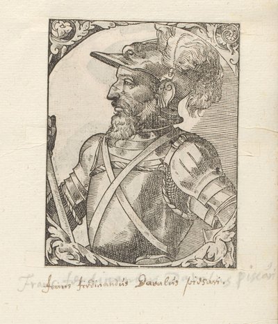 Portræt af Fernando d