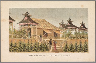 Tobaksplantagen af ​​de hollandske kolonier på verdensudstillingen i Amsterdam, 1883 Tobaksplantage i afsnittet Ned: Kolonier (titel på objekt) Minde om Amsterdam i 1883 (serietitel på objekt) af Anonymous