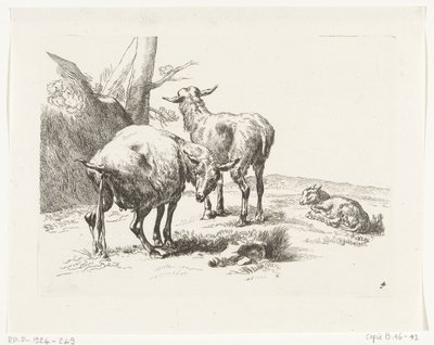To stående geder og en ung ged Geder og får til N.P. Berchem (serietitel) af Anonymous