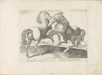Twee vechtende paarden Horse Duel (titel på objekt) Hesten, hvor alle slags adelige: hestes opførsel adskilt fra forskellige dele af verden udvalgt (...) (serietitel på objekt) af Anonymous