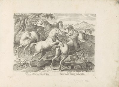 Vechtende paarden met een onder de voet gelopen paard Hesten, hvor alle slags adelige: hestes opførsel adskilt fra forskellige dele af verden udvalgt (...) (serietitel på objekt) af Anonymous