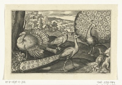 Fem fugle inklusive skestork Fugle og insekter (serietitel) af Anonymous