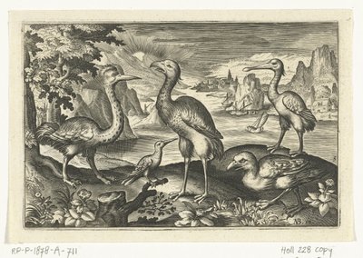 Fem fugle inklusive skestork Fugle og insekter (serietitel) af Anonymous