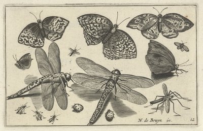 Sommerfugle og guldsmede Fugle og insekter (serietitel) af Anonymous