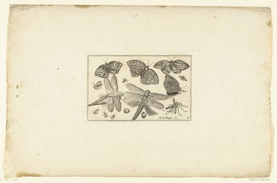 VLINDERS EN LIBELLEN Volatilium forskellig art (...) (serietitel) af Anonymous