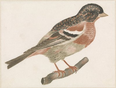 Fugl på en gren til højre, muligvis en bullfinch af Anonymous