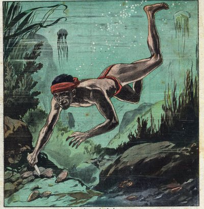 En perleforsker risikerer sit liv i de tropiske hav i Ceylon og Polynesien for at forsyne elegantier med halskæder og smykker. Illustration taget fra "" Le Petite Journal"" 11/03/1923 Privat samling. af Anonymous Anonymous