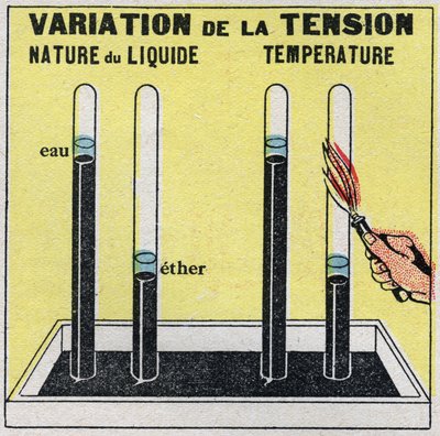 Ændringer i tilstande: dampe. Variation af spænding afhængigt af væskens art eller temperatur. Anonym illustration fra 1925. Privat samling. af Anonymous Anonymous