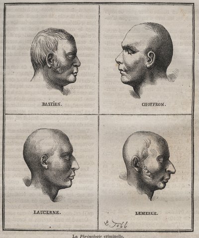 Kriminel frenologi i Brest Bagne (portrætter, der skildrer de fysiske karakteristika af forskellige typer kriminelle). Indgravering i "Fangernes historie fra deres skabelse til i dag" (1877) af Pierre Zaccone (1817-1895) (Colonia Penale - Penal af Anonymous Anonymous
