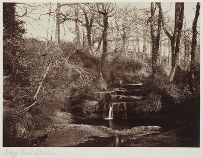 Edge Park, Cheshire, ca. 1865 (albumintryk fra glasnegativ) af Anonymous Anonymous