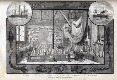 Udstilling på Museum of Natural History i Paris af samlingerne dannet under krydstogterne - Videnskabelige ekspeditioner af arbejderen og talismanen i årene 1880 af Anonymous Anonymous