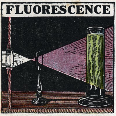 Fluorescens: bevis på kroppens fluorescens. Anonym illustration fra 1925. Privat samling. af Anonymous Anonymous