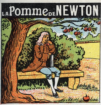 Gravitation: Newtons æble. Isaac Newton (1642-1727) observerer et æble falde fra et æbletræ og opdager lovene for jordens tyngdekraft (gravit). Anonym illustration fra 1925. Privat samling. af Anonymous Anonymous