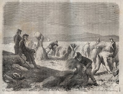 Høste styrker i fængslet i Belle-Ile-en-Mer (smuk ø til søs) i det 19. århundrede. Indgravering i "Fangernes historie fra deres skabelse til i dag"" (1877) af Pierre Zaccone (1817-1895) (Colonia Penale - Straffekoloni). Privat samling. af Anonymous Anonymous
