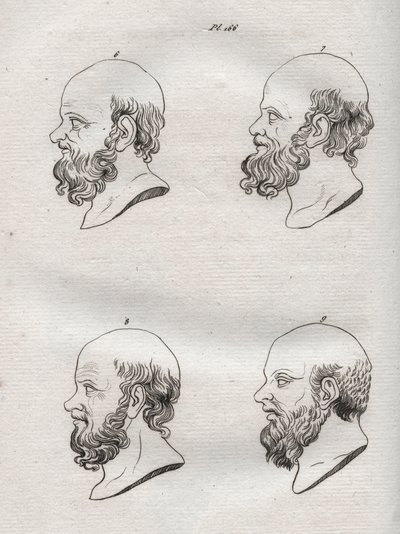 Fysiognomi - Fysiognomi - Adskillige hoveder af den græske filosof Sokrates (ca. 469 f.Kr.-399 f.Kr.) (Buste af Sokrates (ca. 469 f.Kr.-399 f.Kr.), athensk filosof) indgravering fra 1808 i "Kunsten at kende mennesker gennem fysiognomi" Johann Gaspar (Gaspa af Anonymous Anonymous