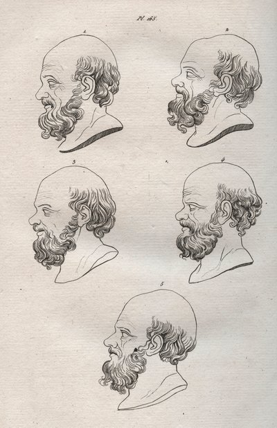 Fysiognomi - Fysiognomi - Adskillige hoveder af den græske filosof Sokrates (ca. 469 f.Kr.-399 f.Kr.) (Buste af Sokrates (ca. 469 f.Kr.-399 f.Kr.), athensk filosof) indgravering fra 1808 i "Kunsten at kende mennesker gennem fysiognomi" Johann Gaspar (Gaspa af Anonymous Anonymous