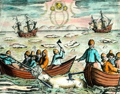 Isbjørnejagtscene i Canada. 1700-tals gravering Privat samling af Anonymous Anonymous