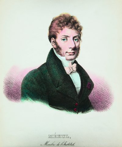 Portræt af Etienne Nicolas Mehul (1763-1817) komponist, privat samling af Anonymous Anonymous