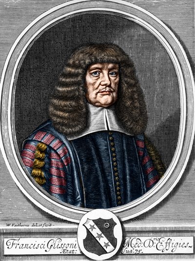 Portræt af Francis Glisson (1599-1677) britisk læge, anatom. af Anonymous Anonymous