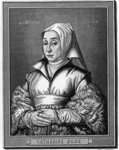 Portræt af Katharina von North af Anonymous Anonymous