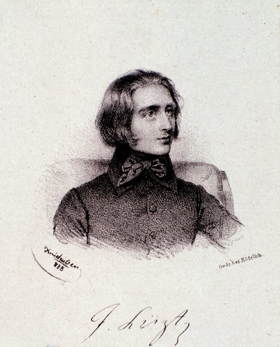 Portræt af den ungarske komponist Franz Liszt (1811-1886) Indgravering. 19. århundrede. Milanesisk privat samling af Anonymous Anonymous