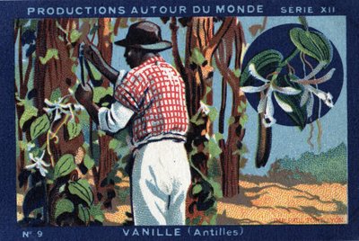 Produktioner over hele verden: Vanilla i Vestindien. Chromolithography fra 1933 i "" Joseph-Milliat Album"" af Anonymous Anonymous
