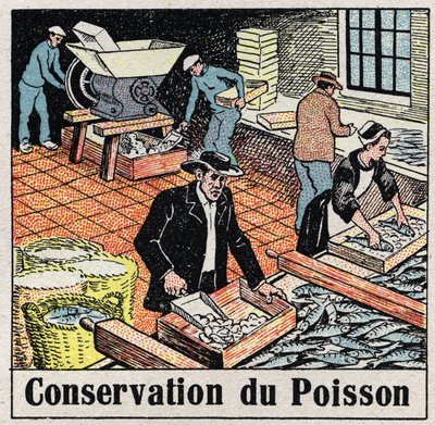 Den kolde industri: Bevarelse af fisk i is. Anonym illustration fra 1925. Privat samling. af Anonymous Anonymous