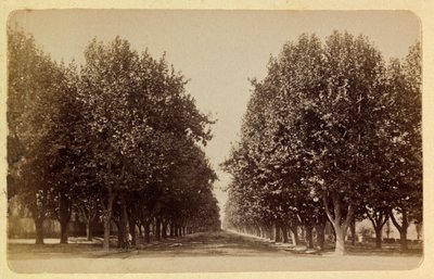 Byen Marseille og dens omgivelser omkring 1885 -1890: Prado, privat samling af Anonymous Anonymous
