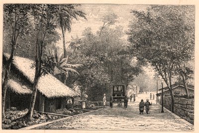 Udsigt over en gade fra Colombo i Ceylon (Sri Lanka). Indgravering i "The Catholic Missions in the XIXth Century"" af Louis-Eugene (Louis Eugene) Louvet. privat samling. af Anonymous Anonymous