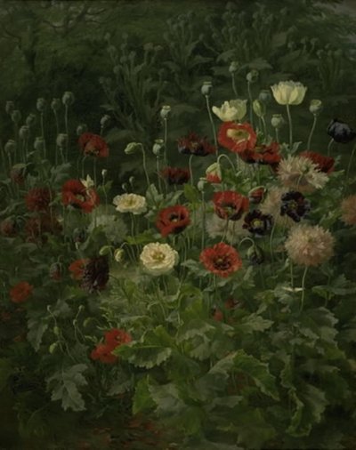 Valmuer af Anthonie Christensen