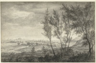 Udsigt fra Haarlems klitter af Anthonie Waterloo