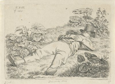Liggende mand i græsset Drentsche bonde (titel på objekt) af Anthonie Willem Hendrik Nolthenius de Man