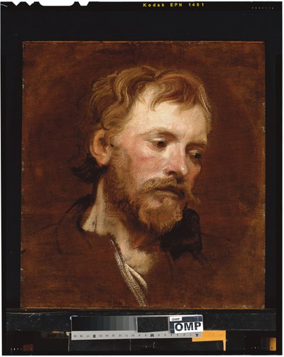 En skægget mand, et studie af Anthony van Dyck