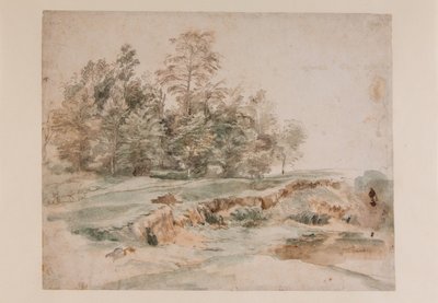 En klump af træer ved en skovklædt vej (blyant og akvarel på papir) af Anthony van Dyck
