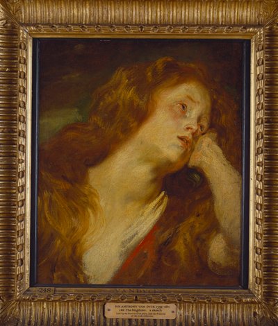 En ung kvinde, brystlængde, hviler sit hoved på sin hånd af Anthony van Dyck