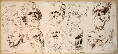 Elleve hovedstudier (pen og brunt blæk på papir) af Anthony van Dyck
