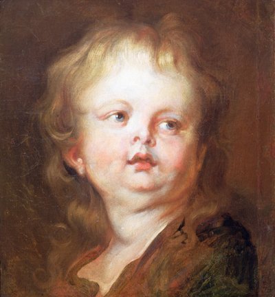 Hovedet af en dreng af Anthony van Dyck