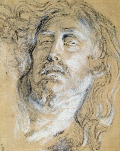 Hovedet af den døde Kristus (kul og kridt på papir) af Anthony van Dyck