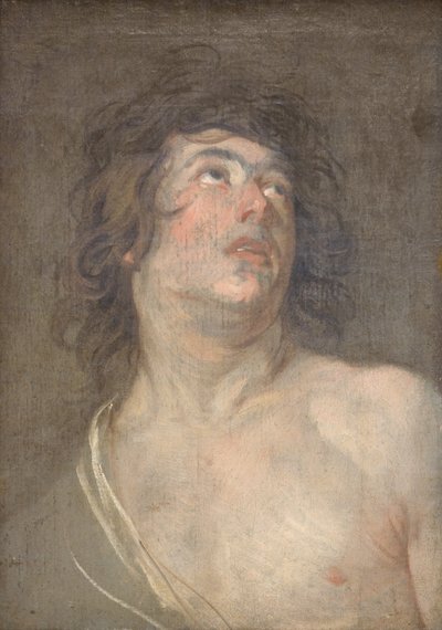 Studieleder af en ung mand, der kigger opad. Sankt Sebastian af Anthony van Dyck