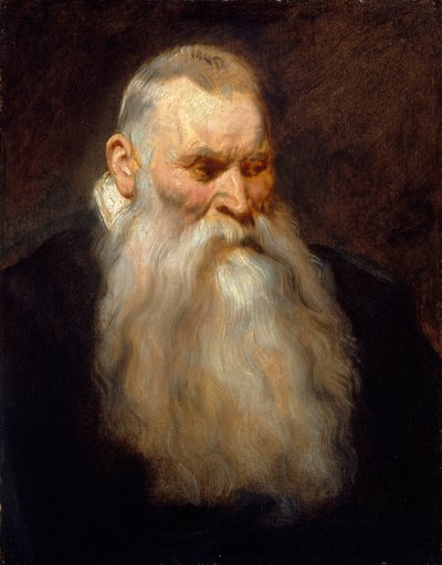 Studiehoved for en gammel mand med hvidt skæg, ca. 1617-20. af Anthony van Dyck