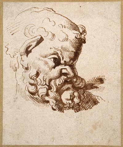 Studie af et antikt hoved af Silenus (pen og blæk på papir) af Anthony van Dyck