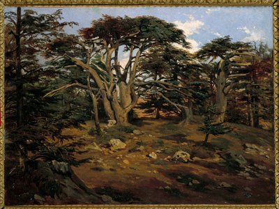 De gamle cedertræer på Libanonbjerget ved Boumana Maleri af Antoine Alphonse Montfort (1802-1884) 1800-tallet søn. 0,32x0,44 m Paris, Orsay Museum af Antoine Alphonse Montfort
