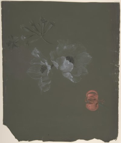 Blomsterdesign af Antoine Berjon