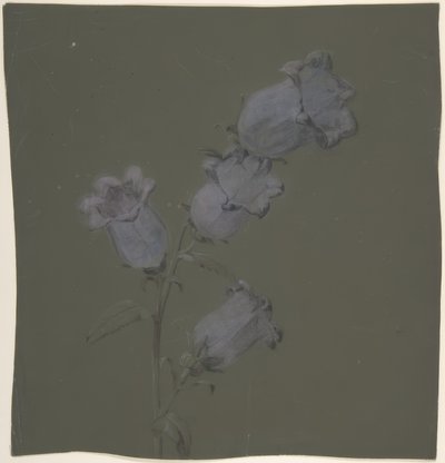 Spray af Canterbury Bells af Antoine Berjon