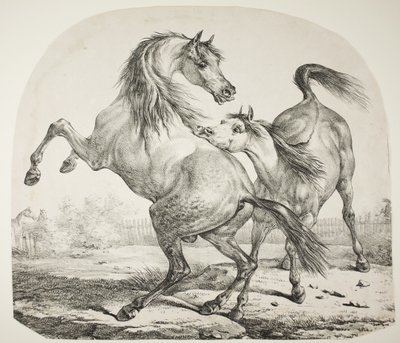 Vilde heste kæmper, ca. 1820 af Antoine Charles Horace Vernet