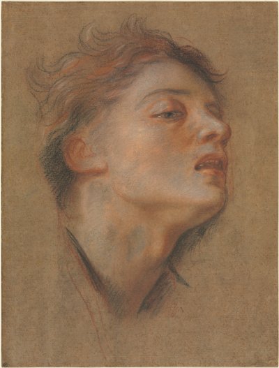Leder af en ung mand af Antoine Coypel