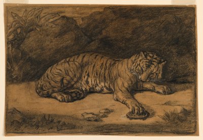 En tiger og en skildpadde af Antoine Louis Barye