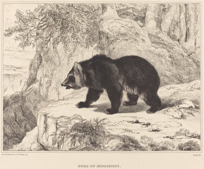 Mississippi bjørn af Antoine Louis Barye