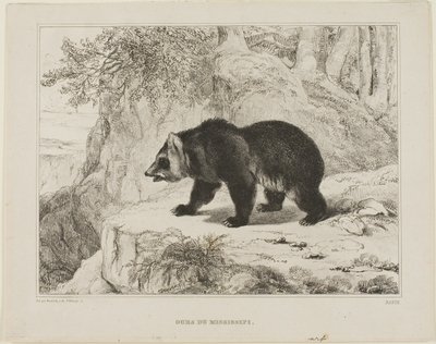 Mississippi Bjørn af Antoine Louis Barye